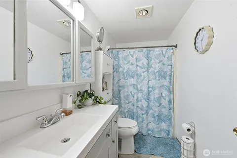 a bathroom with a sink a toilet and shower curtain