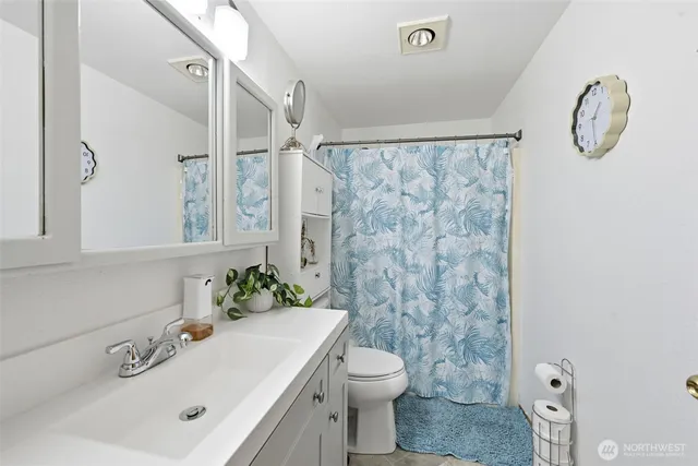 a bathroom with a sink a toilet and shower curtain