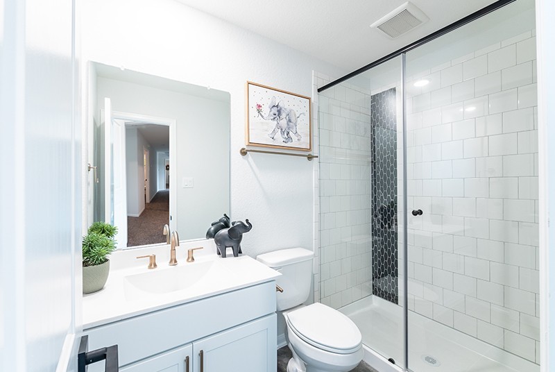 7810 Bear Trace Road Fairview, TN 37062 - Photo 18 of 20 a bathroom with a sink a mirror a toilet and shower