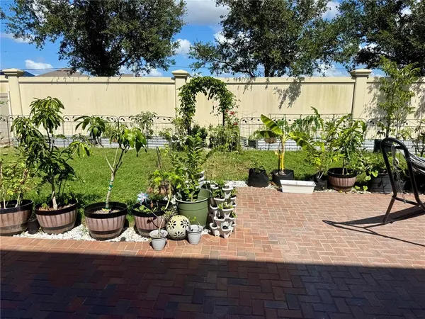 a view of a yard with a potted plant