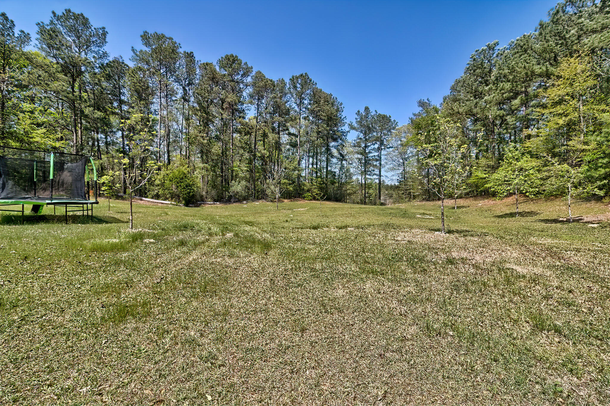 5404 Fairview Road Leesville, SC 29070 - Photo 5 of 36