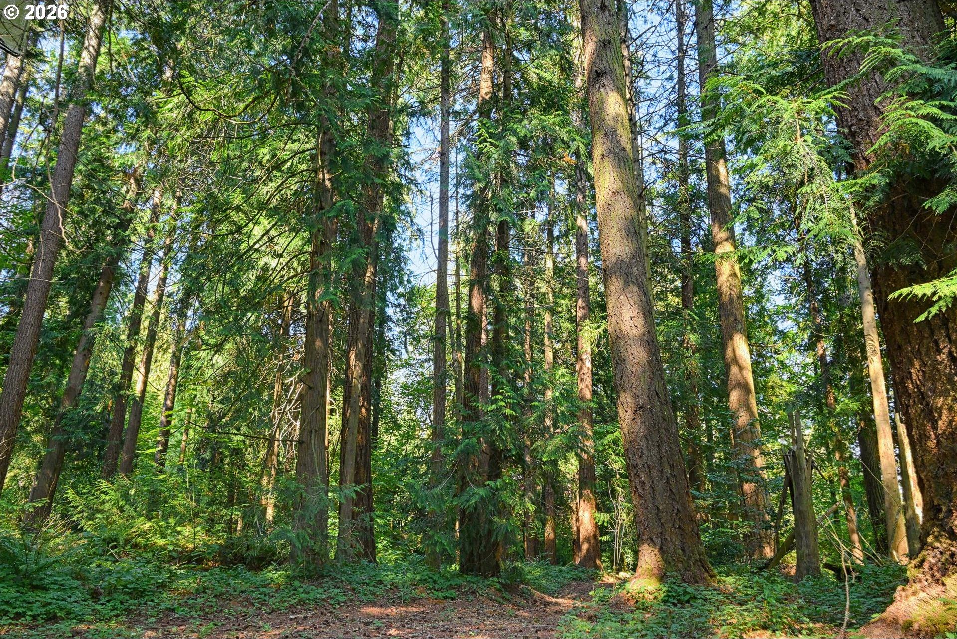 16990 Southeast Foster Road Gresham, OR 97080 - Photo 11 of 41 Gallery Image 11