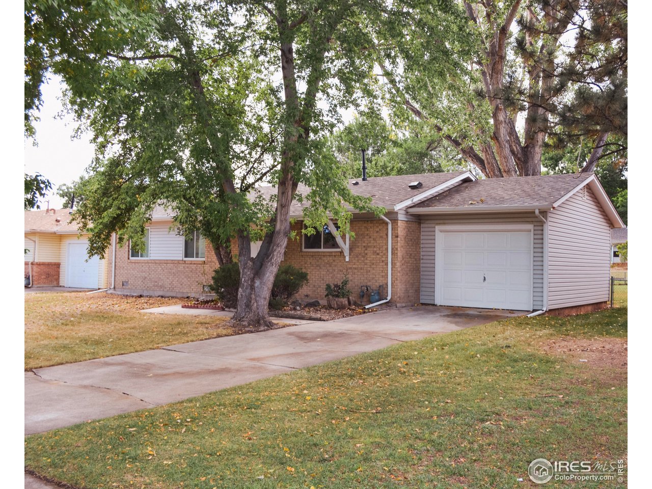 805 Gallup Road Fort Collins, CO 80521 - Photo 2 of 14 a view of a house with a yard and large tree