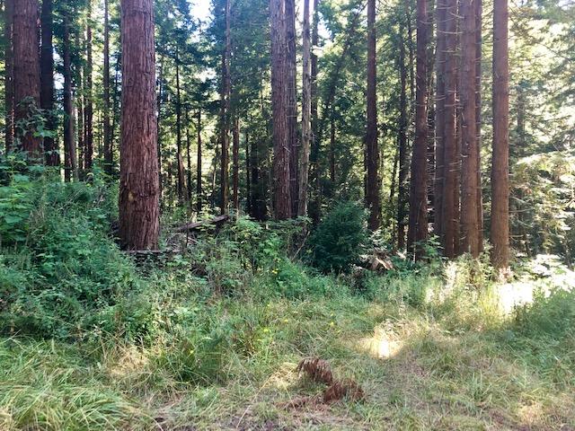 9.25-acre Eggert Road Eureka, CA 95503 - Photo 22 of 29