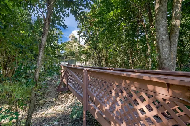 a view of a forest with lush green forest