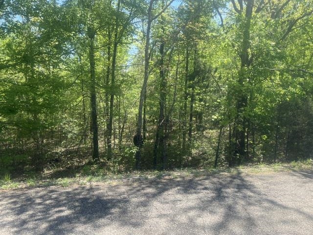 Hines Gin Road Selmer, TN 38375 - Photo 6 of 6