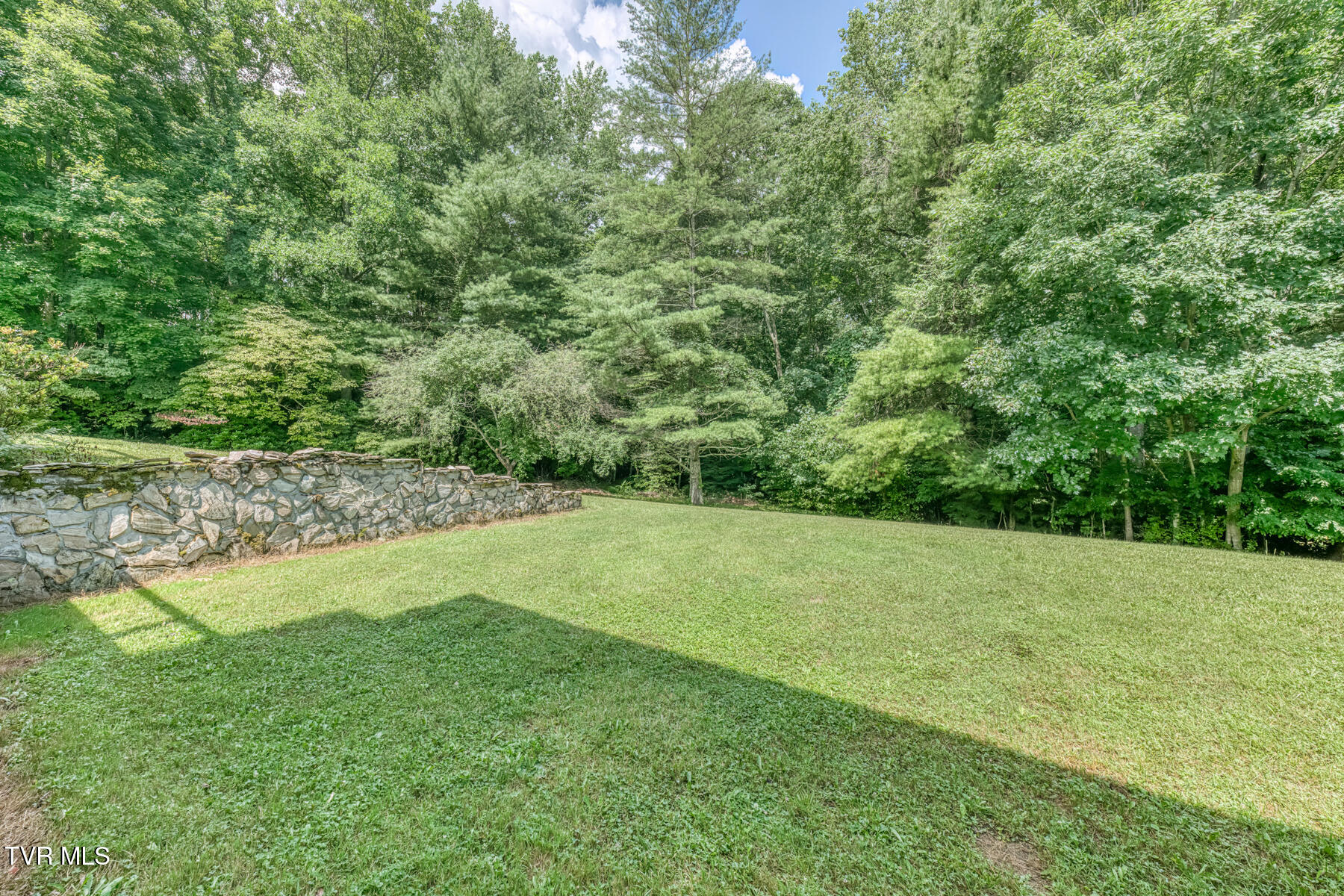 1678 Sluder Road Shady Valley, TN 37688 - Photo 67 of 110 1678 Sluder Rd-67