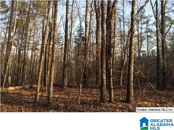 8681 Central Road Warrior, AL 35180 - Photo 24 of 31
