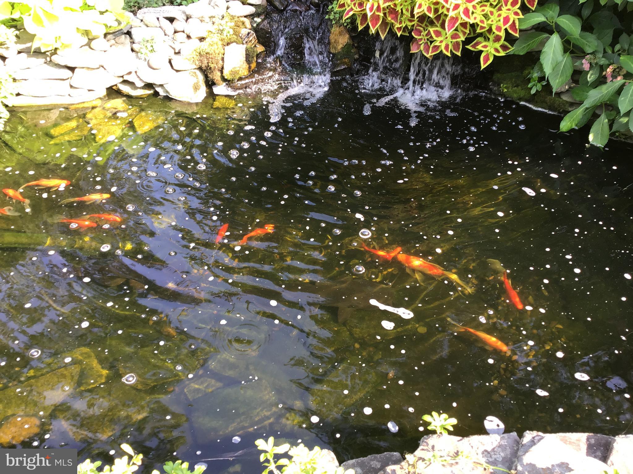 1322 Reservoir Road Honey Brook, PA 19344 - Photo 28 of 75