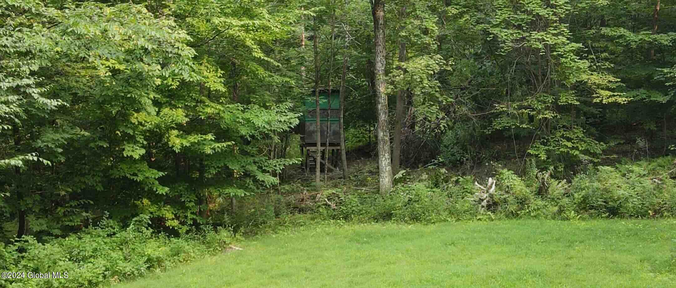 1268 Patterson Hill Road Hebron, NY 12865 - Photo 25 of 50 Trayah25