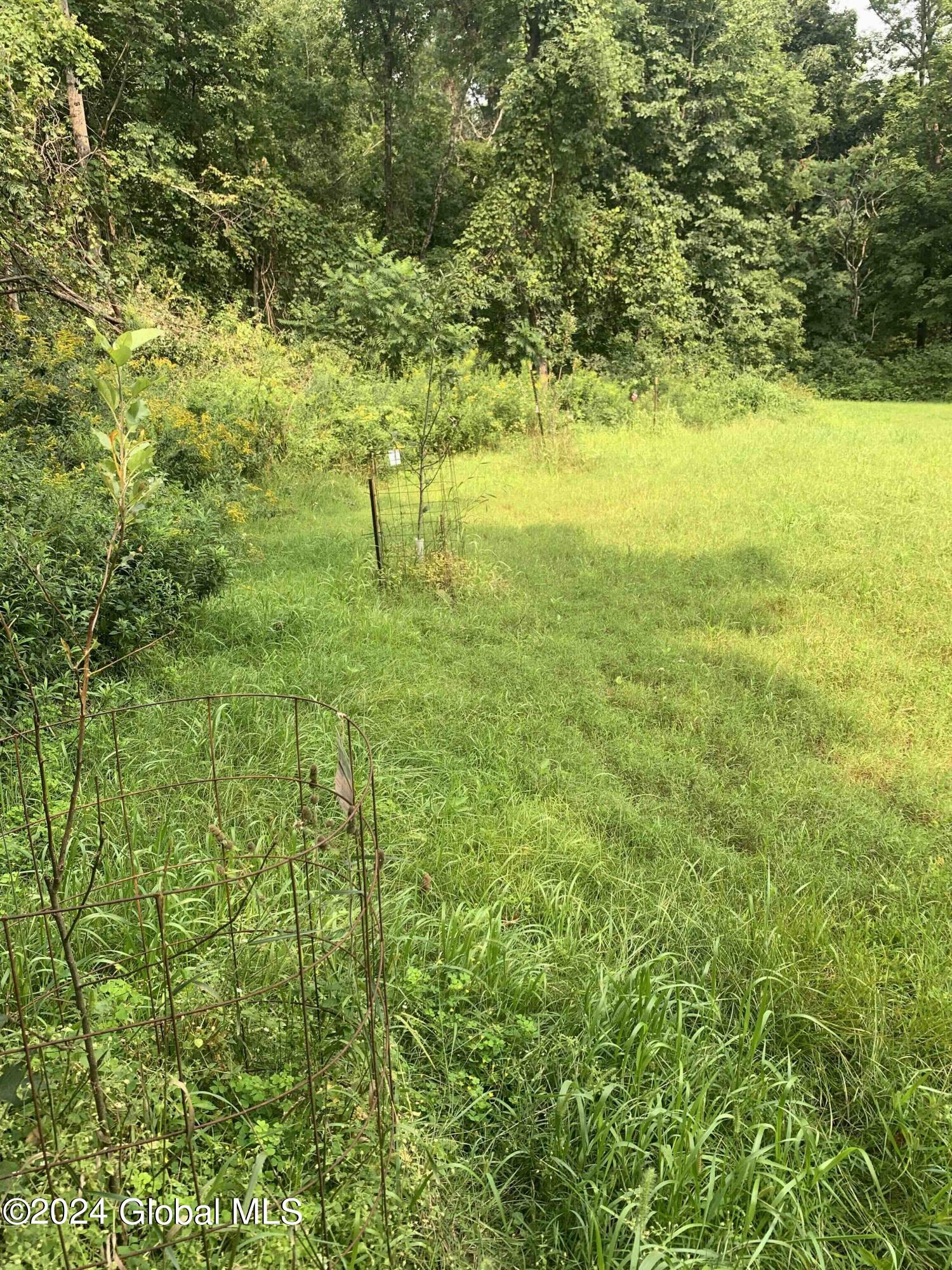 1268 Patterson Hill Road Hebron, NY 12865 - Photo 31 of 50 Trayah31