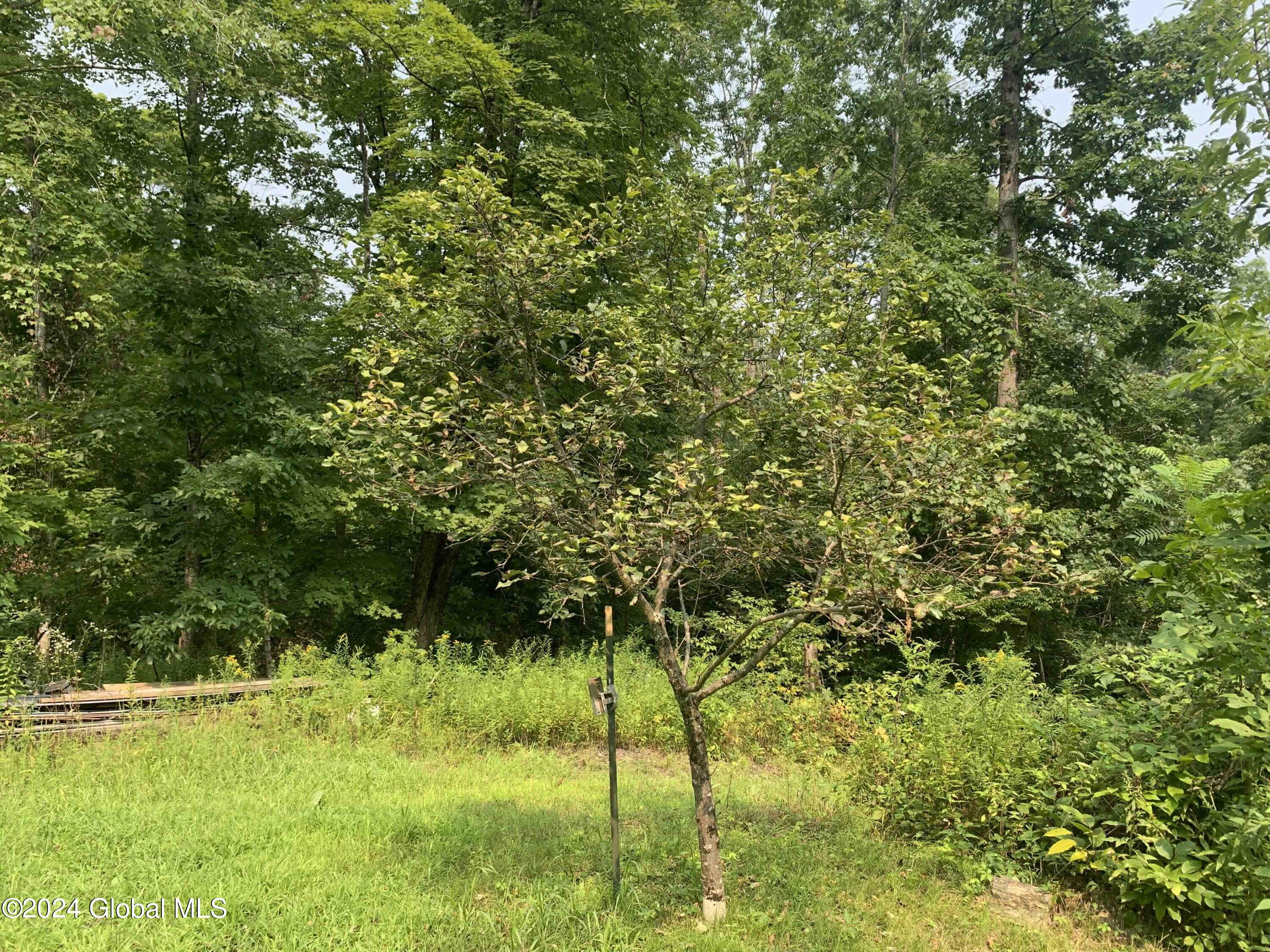 1268 Patterson Hill Road Hebron, NY 12865 - Photo 32 of 50 Trayah32