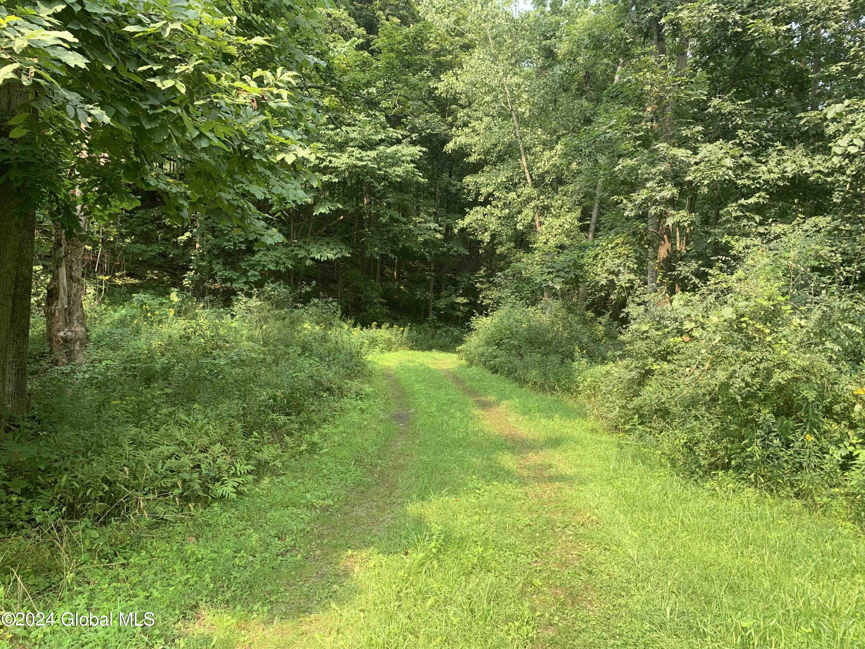 1268 Patterson Hill Road Hebron, NY 12865 - Photo 35 of 50 Trayah35