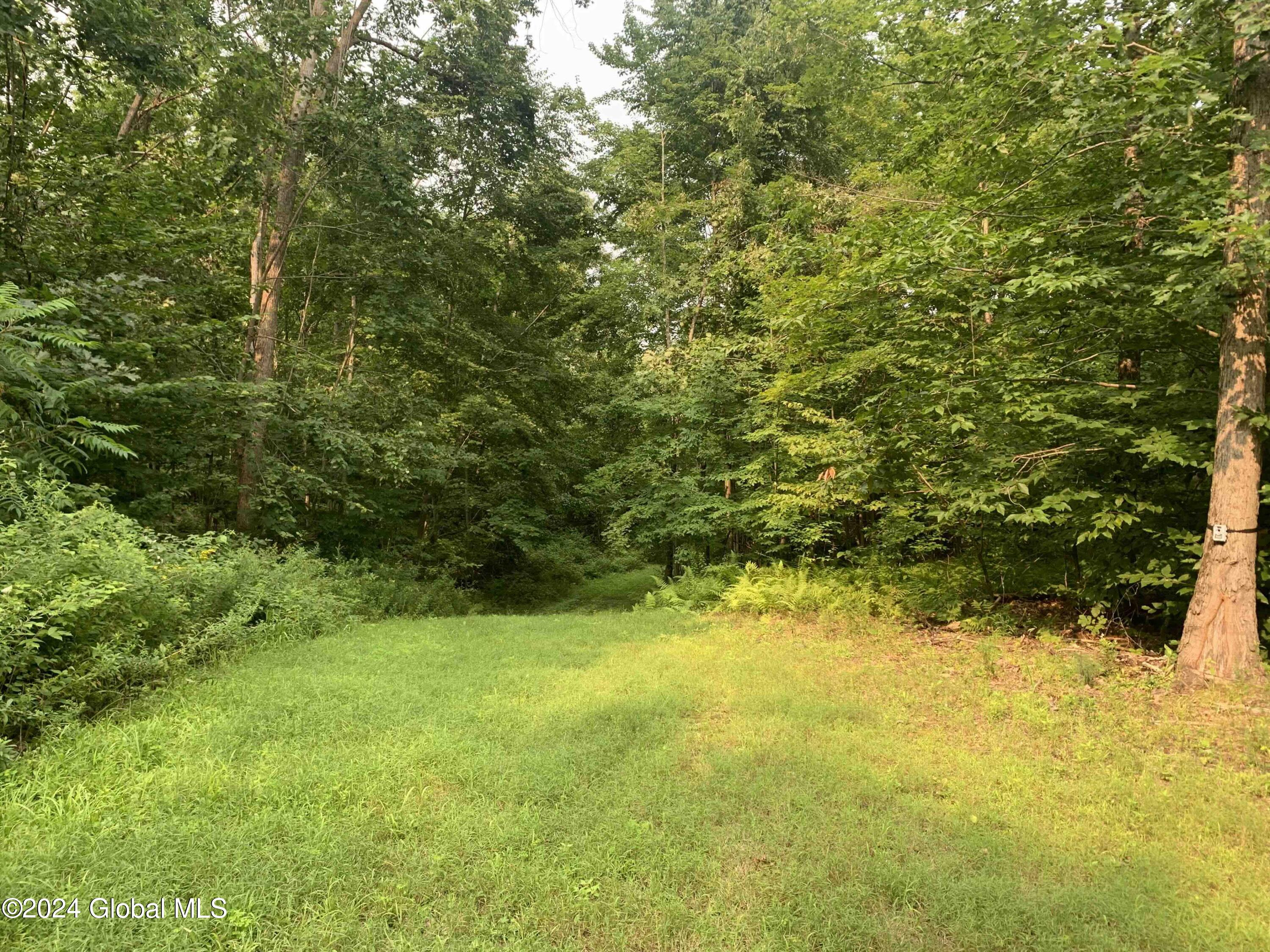1268 Patterson Hill Road Hebron, NY 12865 - Photo 36 of 50 Trayah36