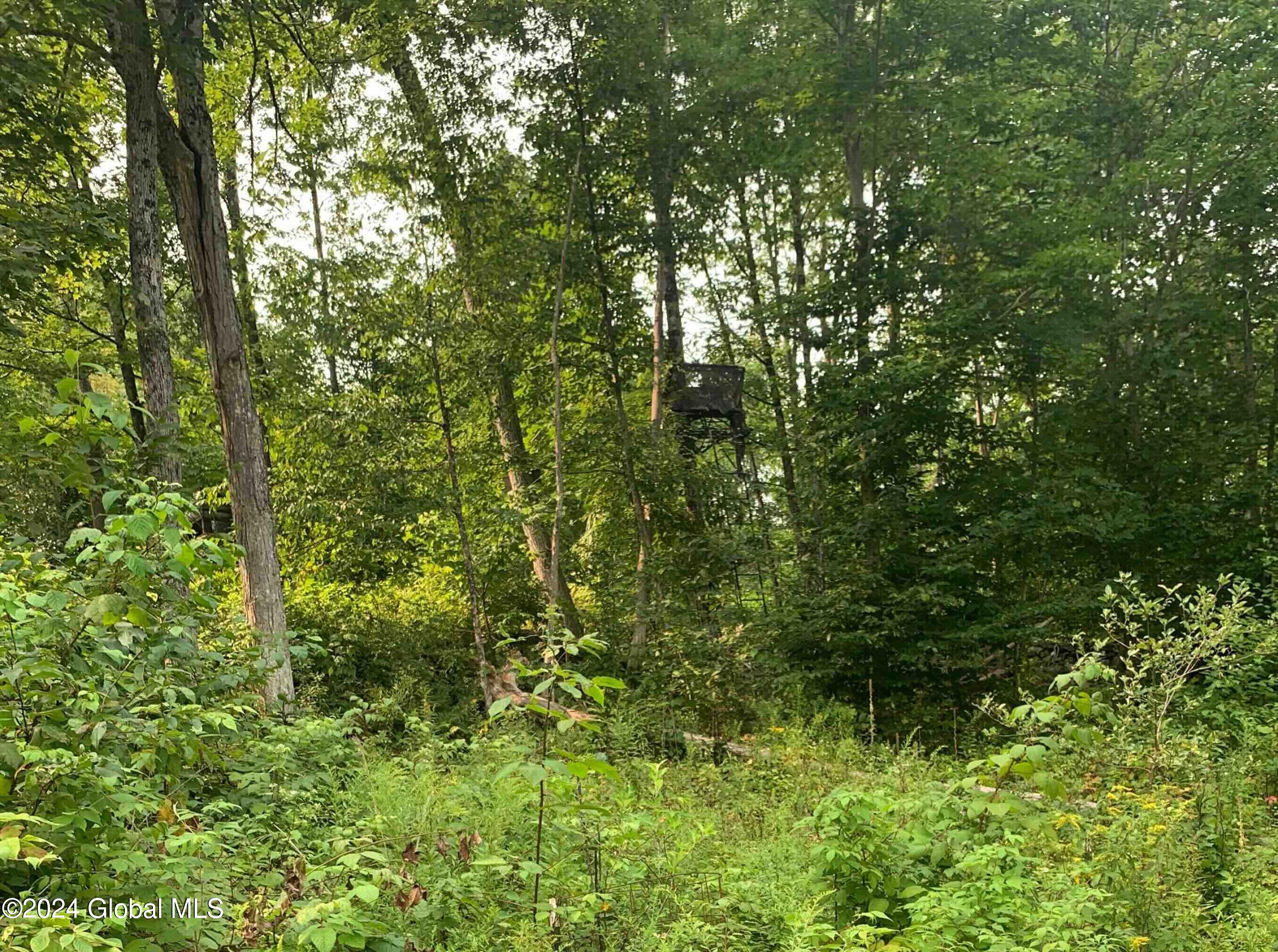1268 Patterson Hill Road Hebron, NY 12865 - Photo 39 of 50 Trayah39