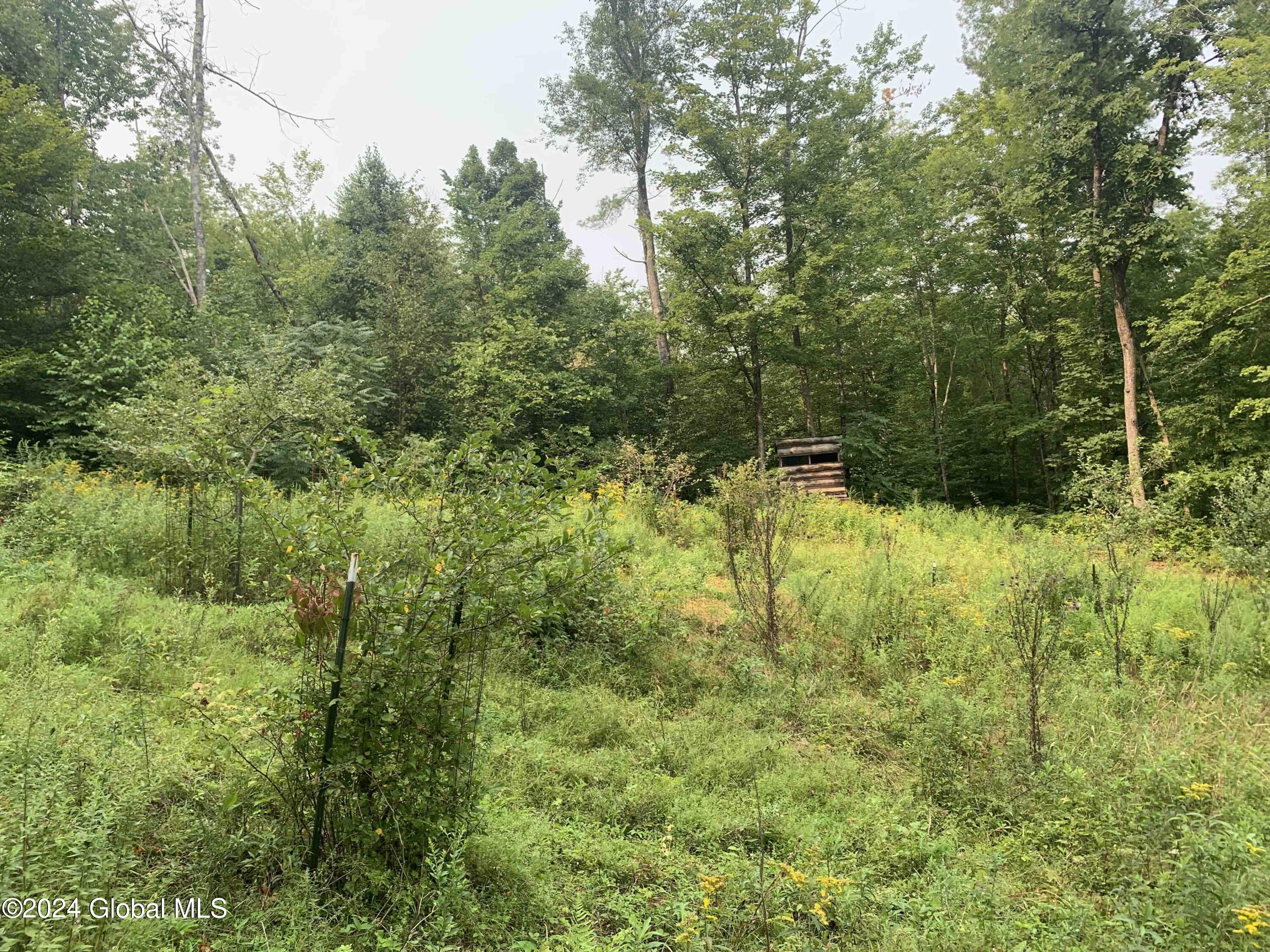 1268 Patterson Hill Road Hebron, NY 12865 - Photo 41 of 50 Trayah41