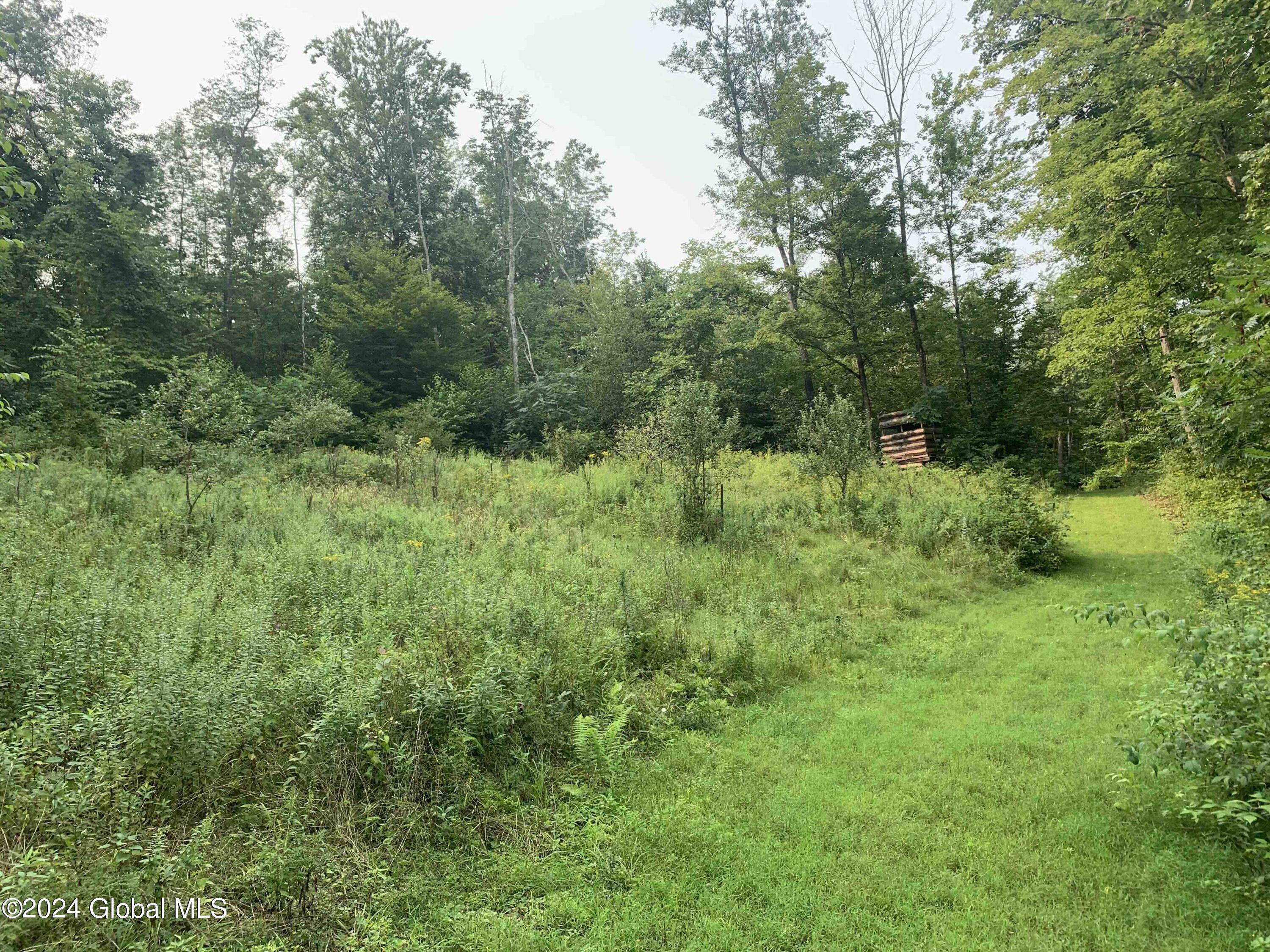 1268 Patterson Hill Road Hebron, NY 12865 - Photo 42 of 50 Trayah42