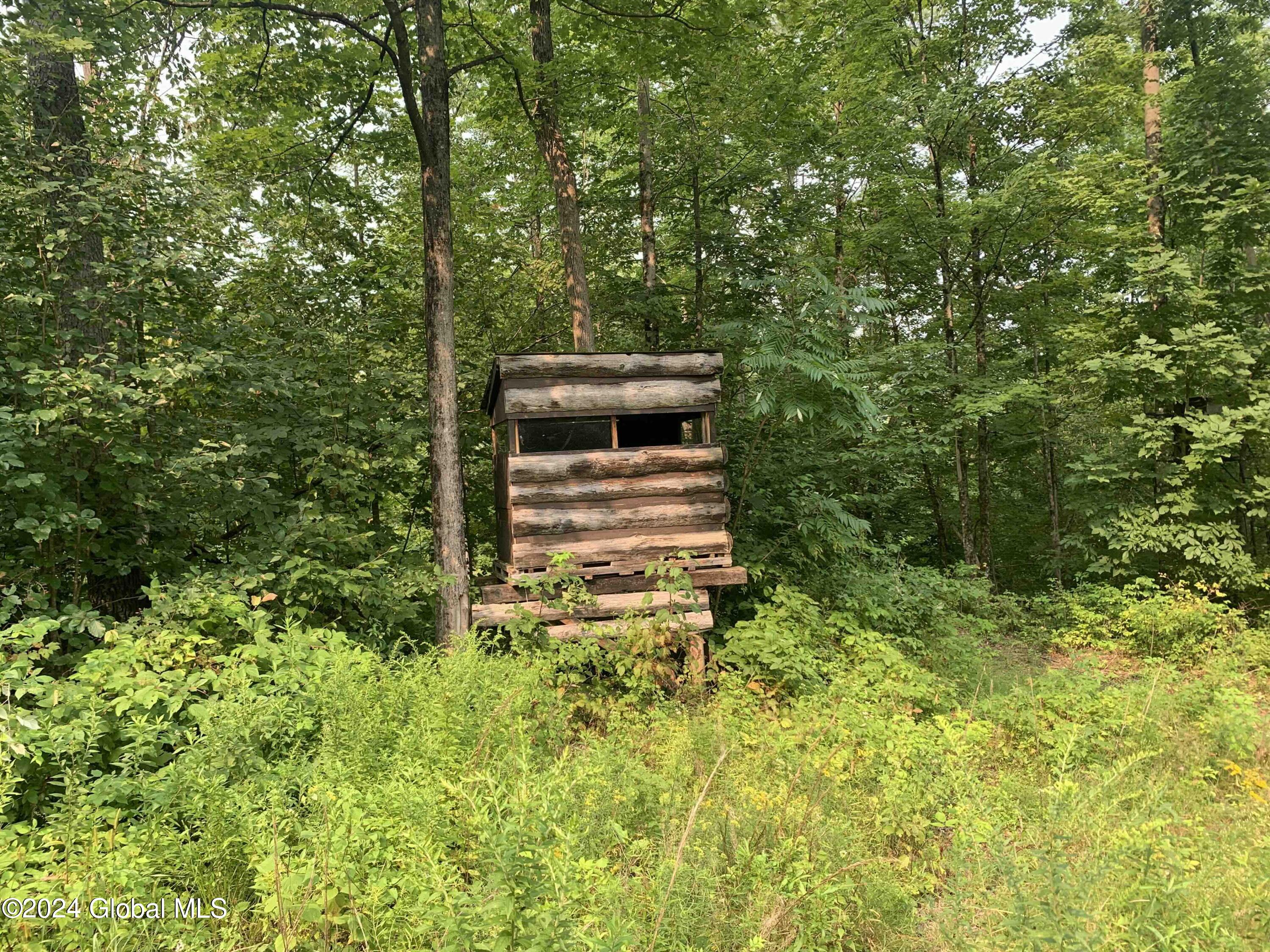 1268 Patterson Hill Road Hebron, NY 12865 - Photo 43 of 50 Trayah43