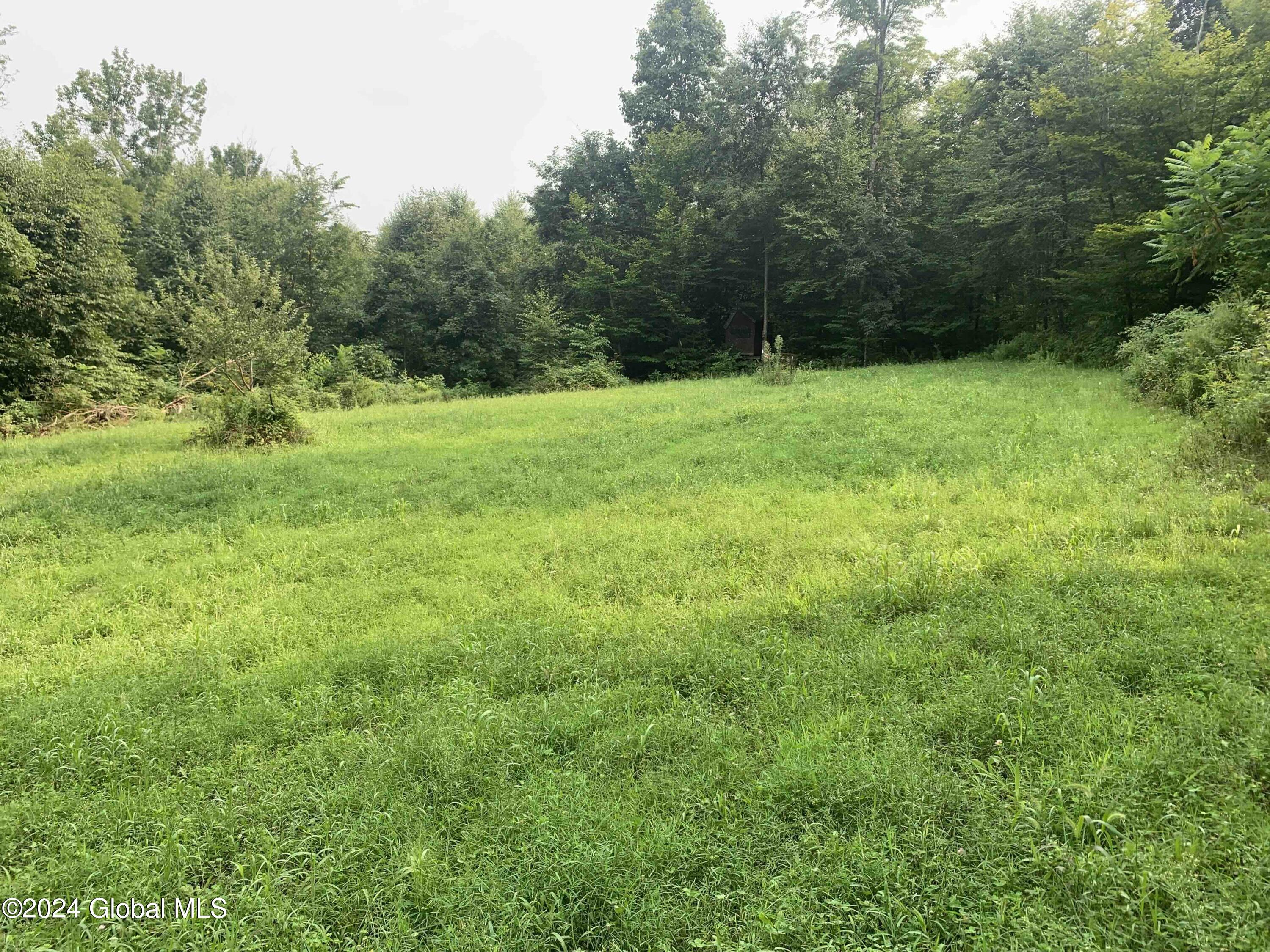1268 Patterson Hill Road Hebron, NY 12865 - Photo 46 of 50 Trayah46