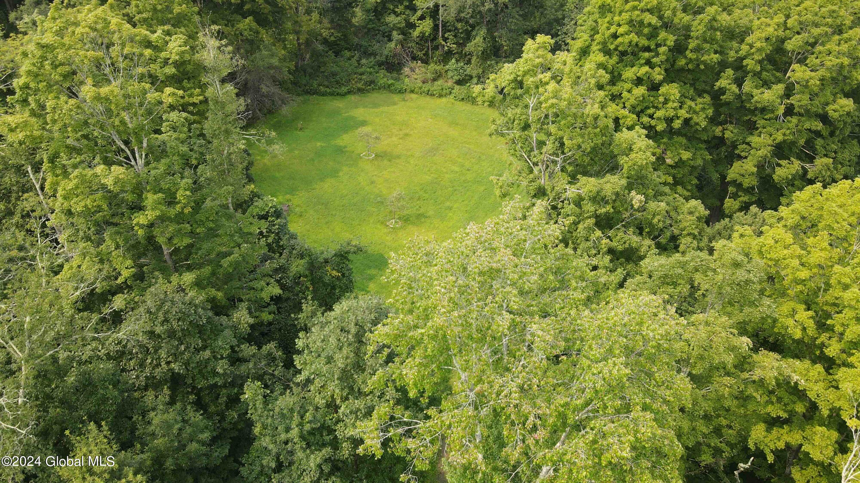 1268 Patterson Hill Road Hebron, NY 12865 - Photo 6 of 50 Trayah5