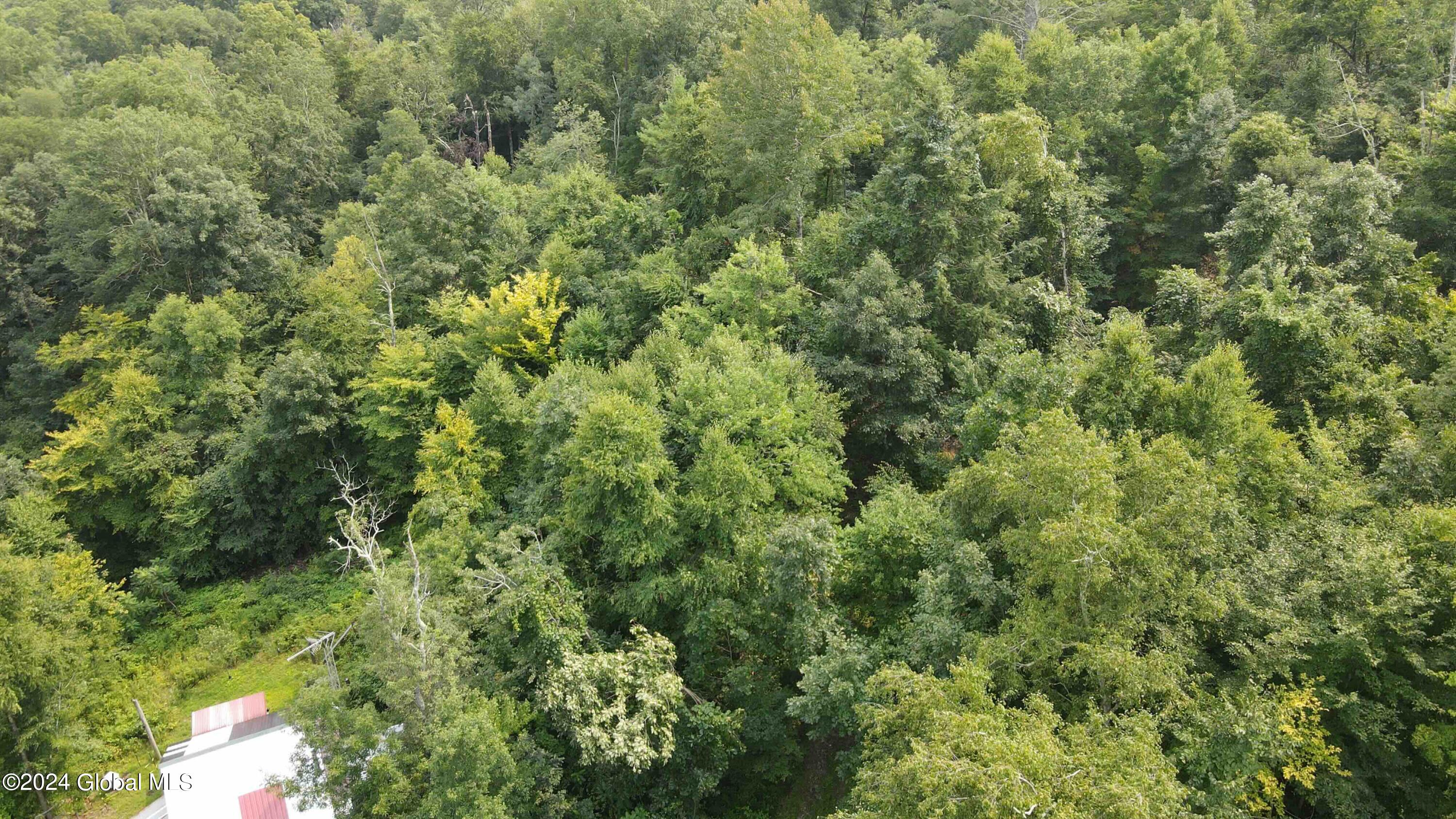 1268 Patterson Hill Road Hebron, NY 12865 - Photo 7 of 50 Trayah6