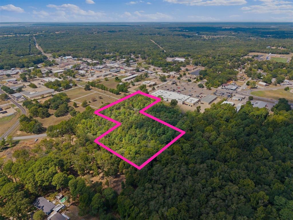 175 Goldsmith Street Quitman, TX 75783 - Photo 8 of 13 Expansive wooded lot offering a substantial natural landscape