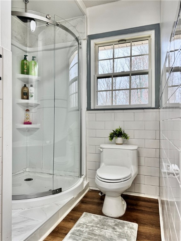 1113 Fox Squirrel Ridge Road Pickens, SC 29671 - Photo 25 of 41