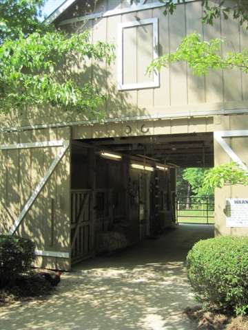 4511 Dover Road Havana, FL 32333 - Photo 4 of 25 Gallery Image 4