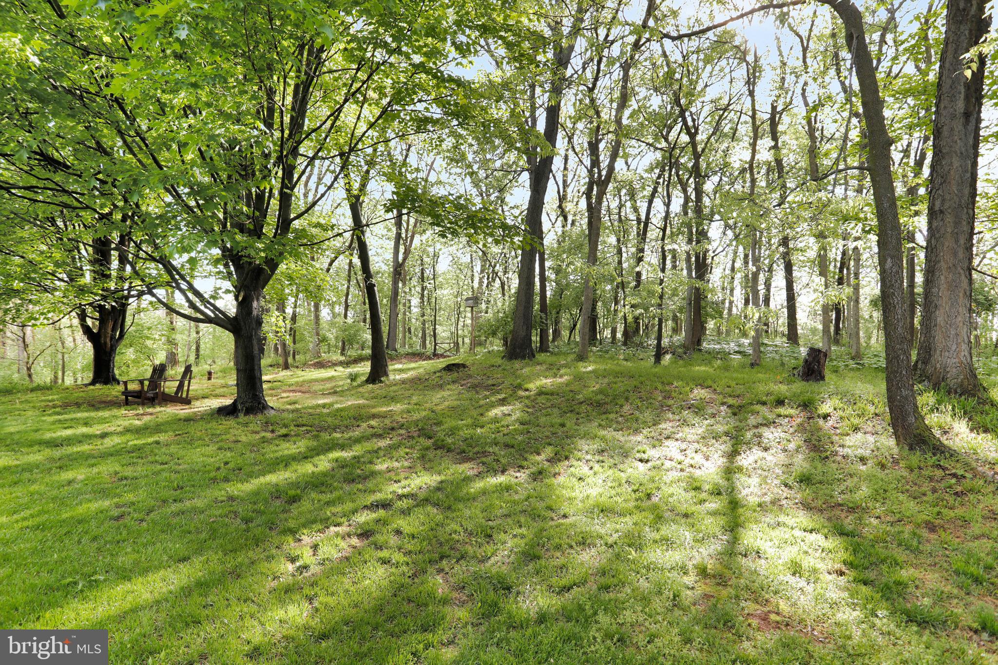 12937 Clopper Road Hagerstown, MD 21742 - Photo 48 of 52 Gallery Image 48