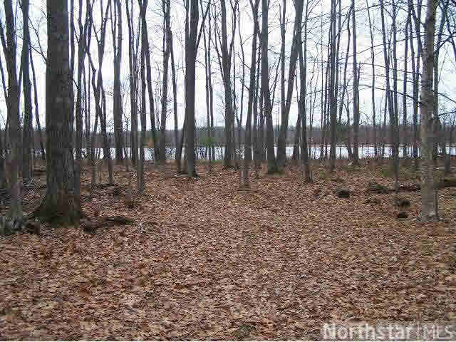 Lot 1 13th Street Rice Lake, WI 54868 - Photo 11 of 13