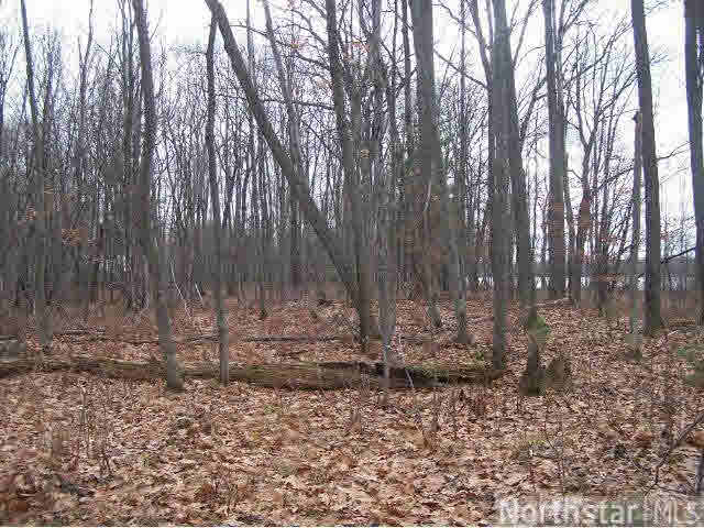 Lot 1 13th Street Rice Lake, WI 54868 - Photo 12 of 13
