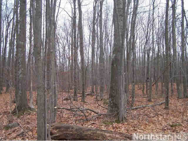Lot 1 13th Street Rice Lake, WI 54868 - Photo 13 of 13
