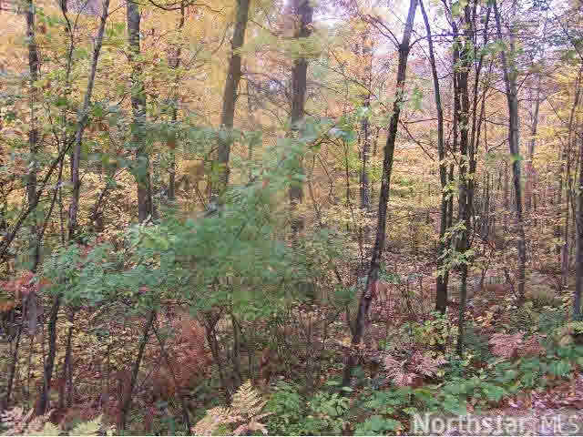 Lot 1 13th Street Rice Lake, WI 54868 - Photo 3 of 13