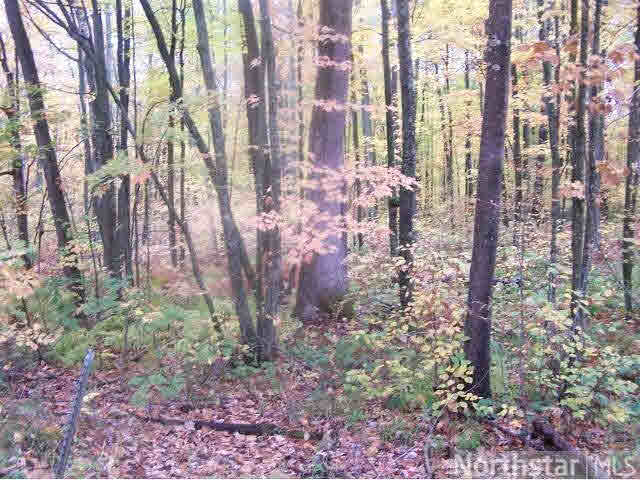 Lot 1 13th Street Rice Lake, WI 54868 - Photo 4 of 13