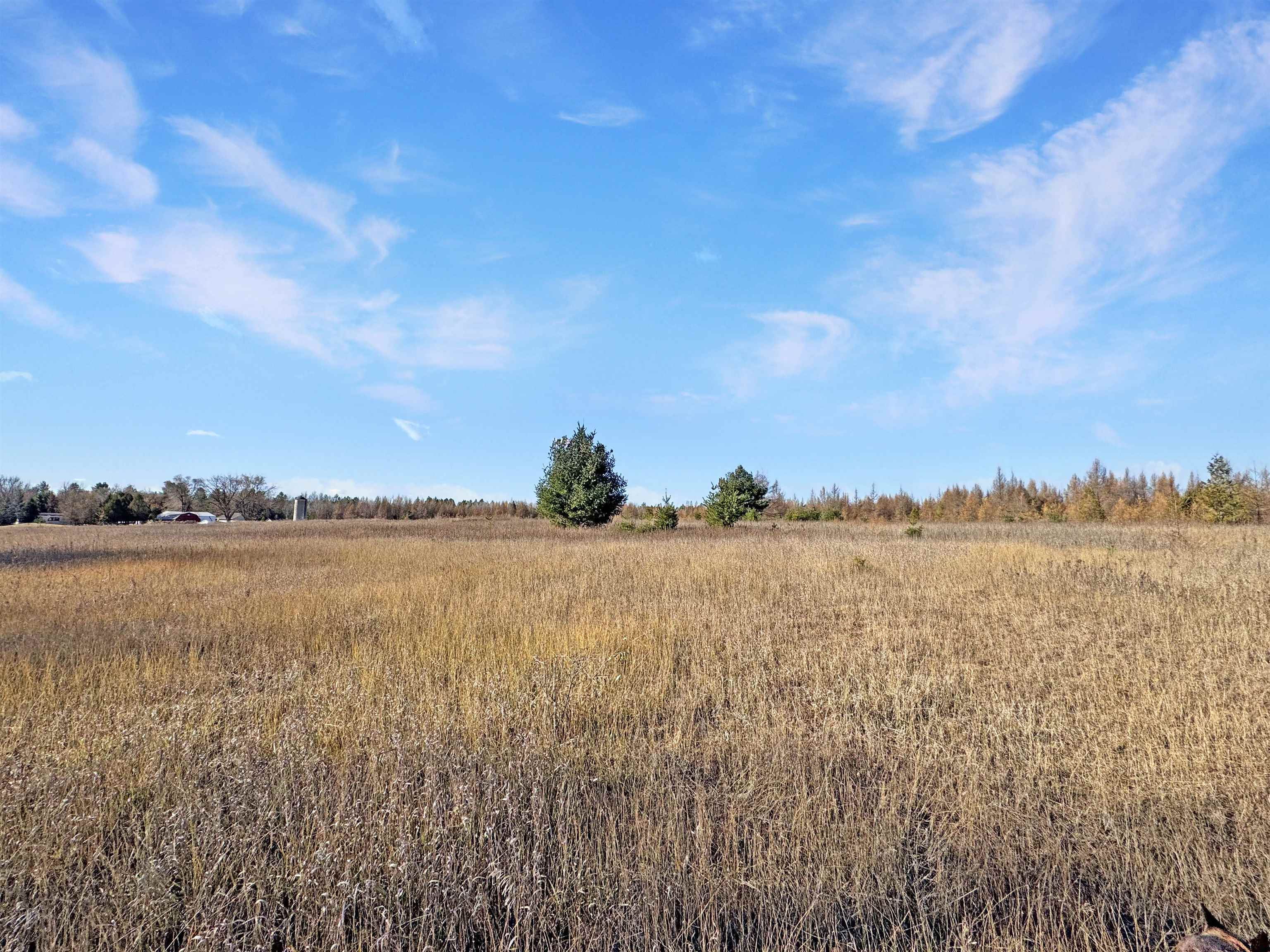 W4254 County Road G Porterfield, WI 54159 - Photo 43 of 62