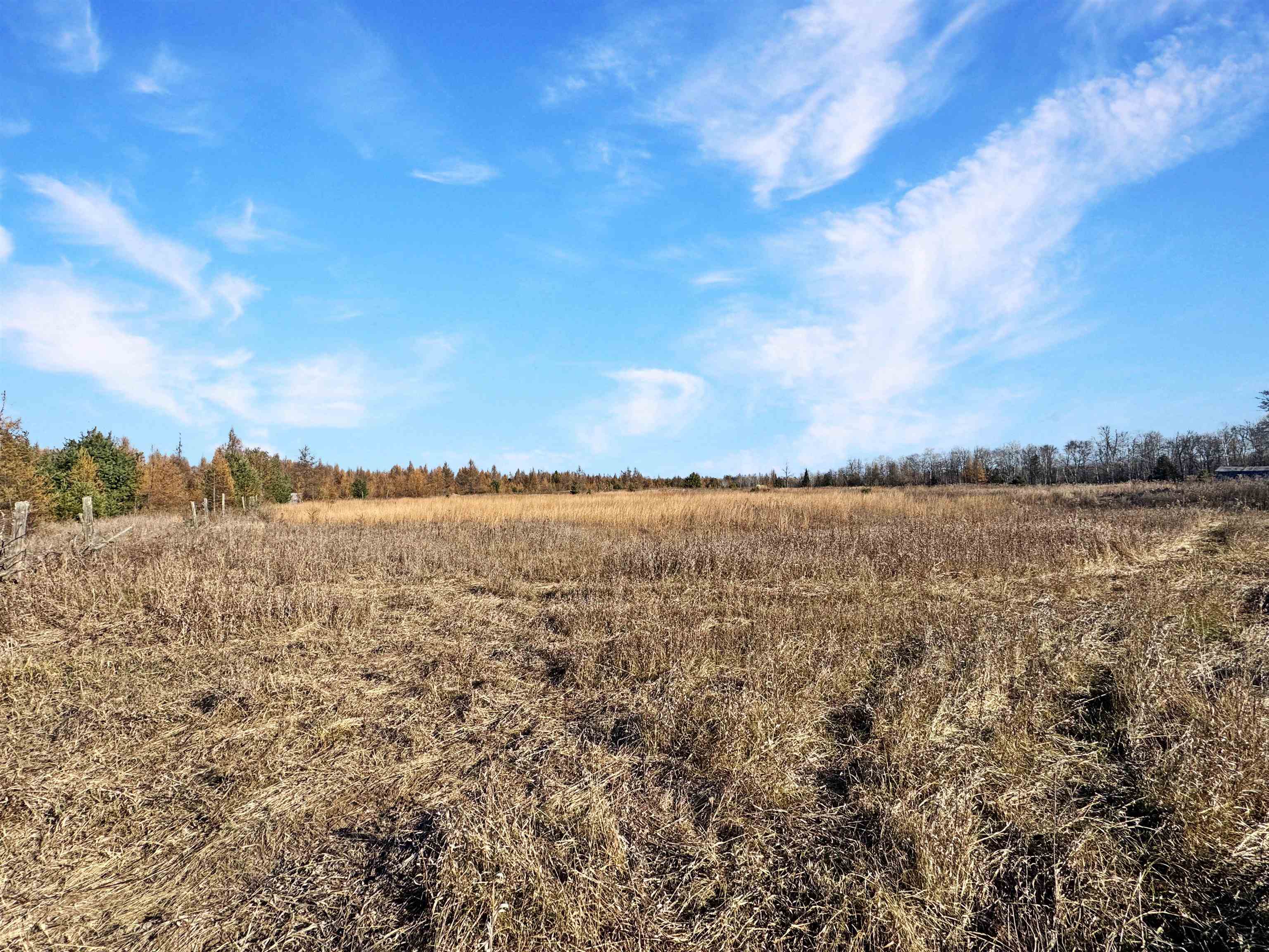 W4254 County Road G Porterfield, WI 54159 - Photo 47 of 62