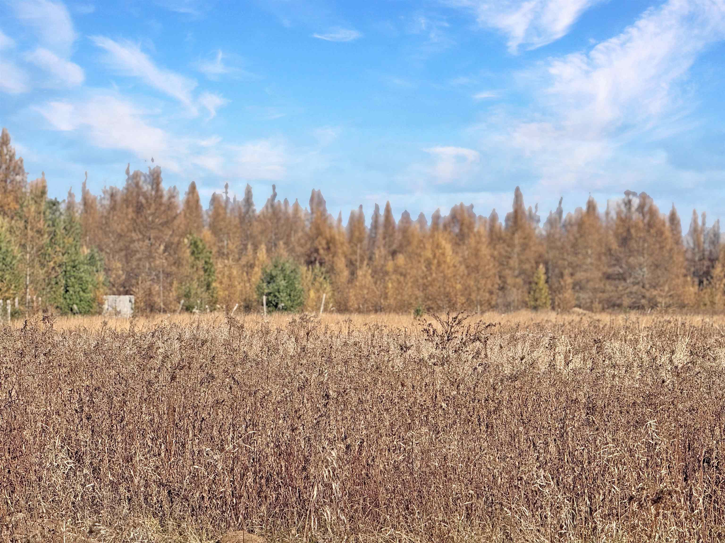W4254 County Road G Porterfield, WI 54159 - Photo 50 of 62
