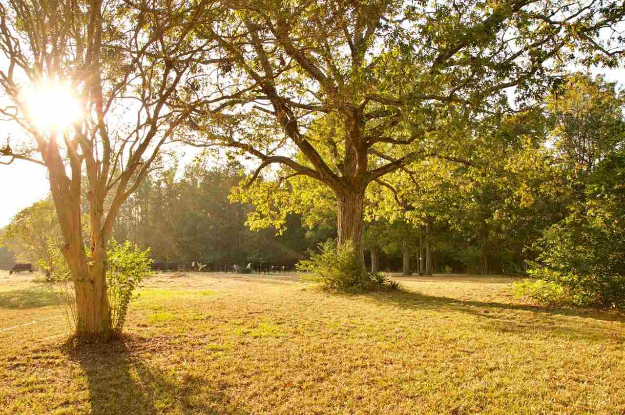 2120 Mary Hobby Road Raleigh, NC 27603 - Photo 30 of 30 Photo 30