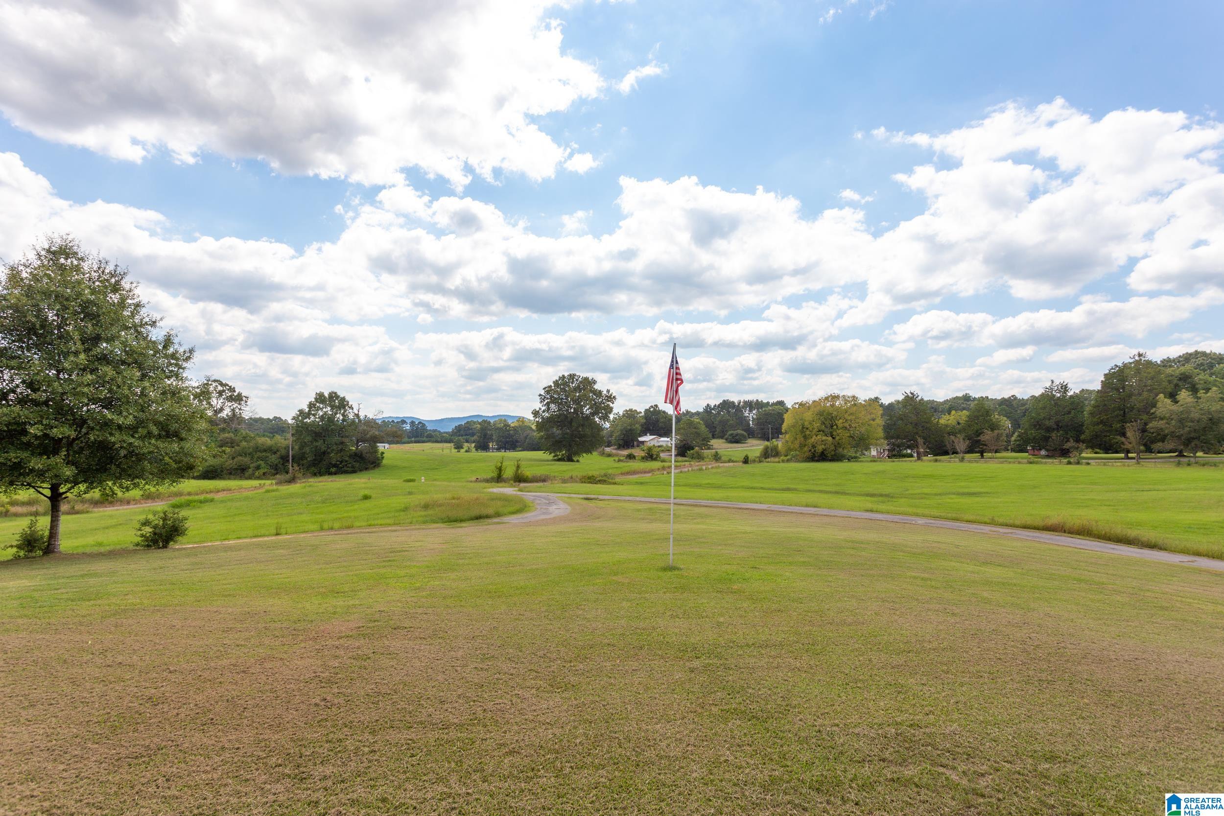 551 Burtram Road Springville, AL 35146 - Photo 18 of 22