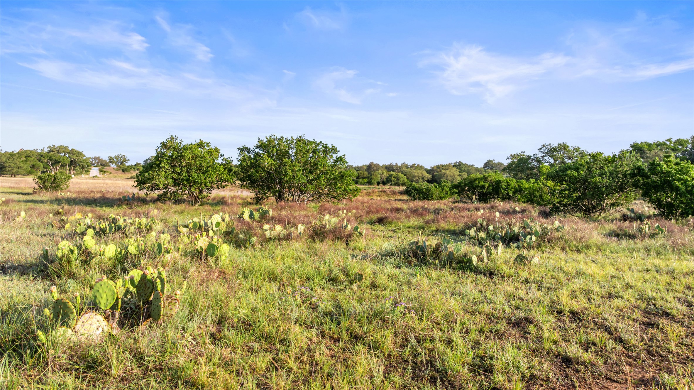 Lot 3 Vista Rdg Drive Round Mountain, TX 78663 - Photo 10 of 15 View of undeveloped land featuring rural landscape