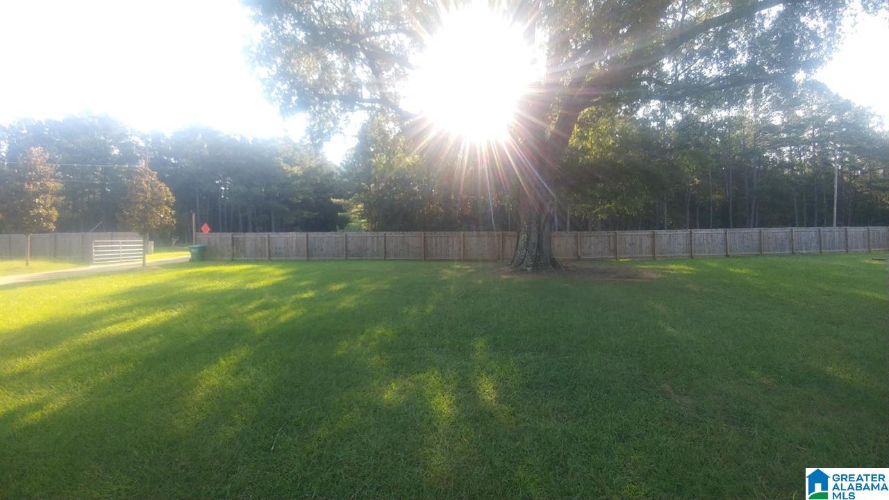 14918 Renfroe Road Alpine, AL 35014 - Photo 6 of 23