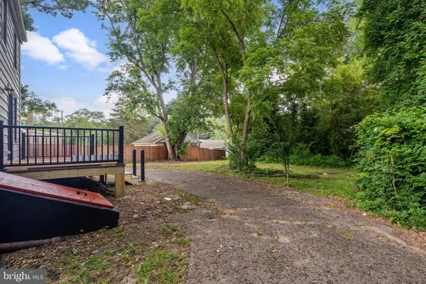 a view of a yard with plants and a trees