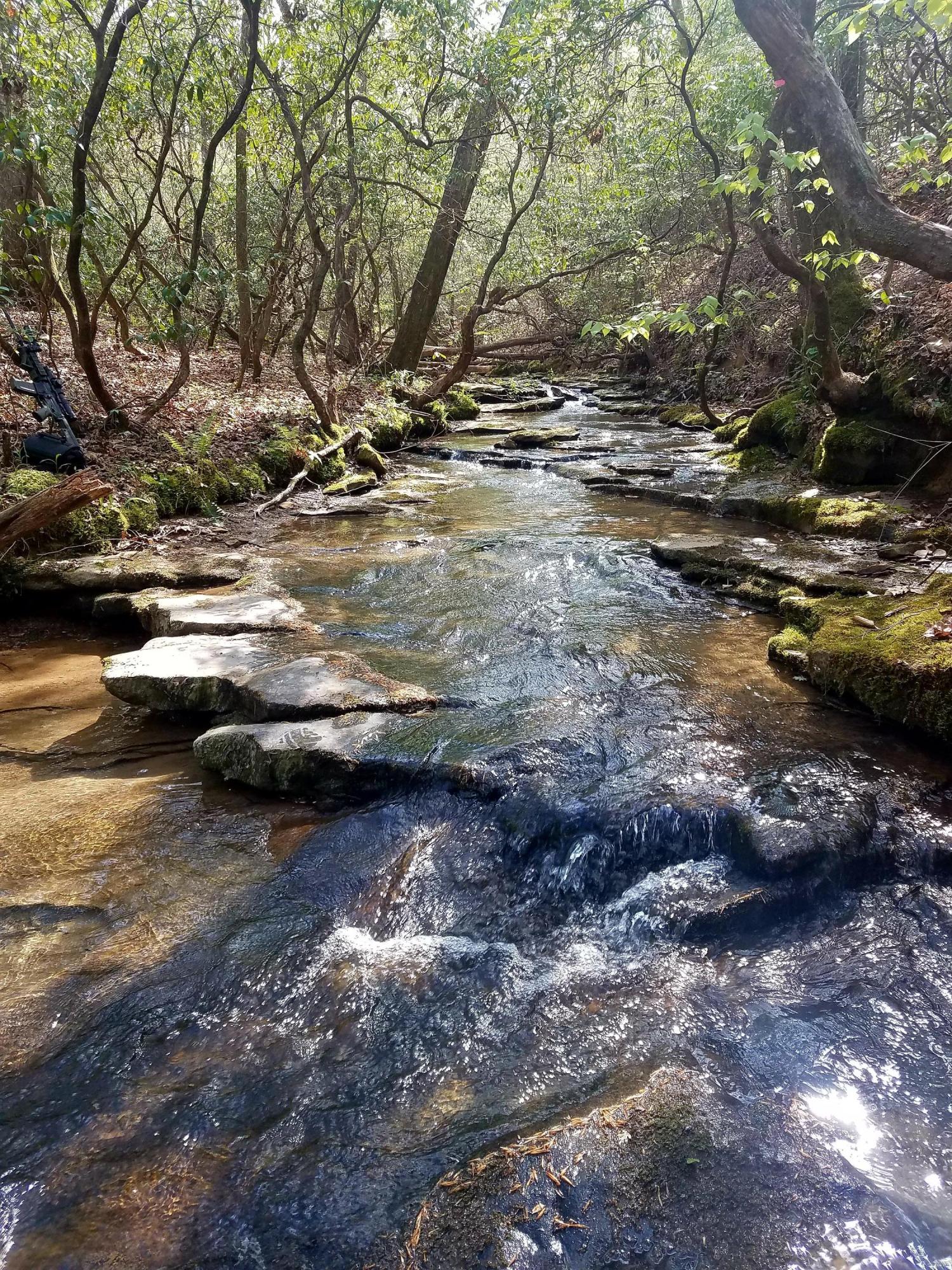 Maple Branch Lane Crawford, TN 38554 - Photo 2 of 4 20180503_160936