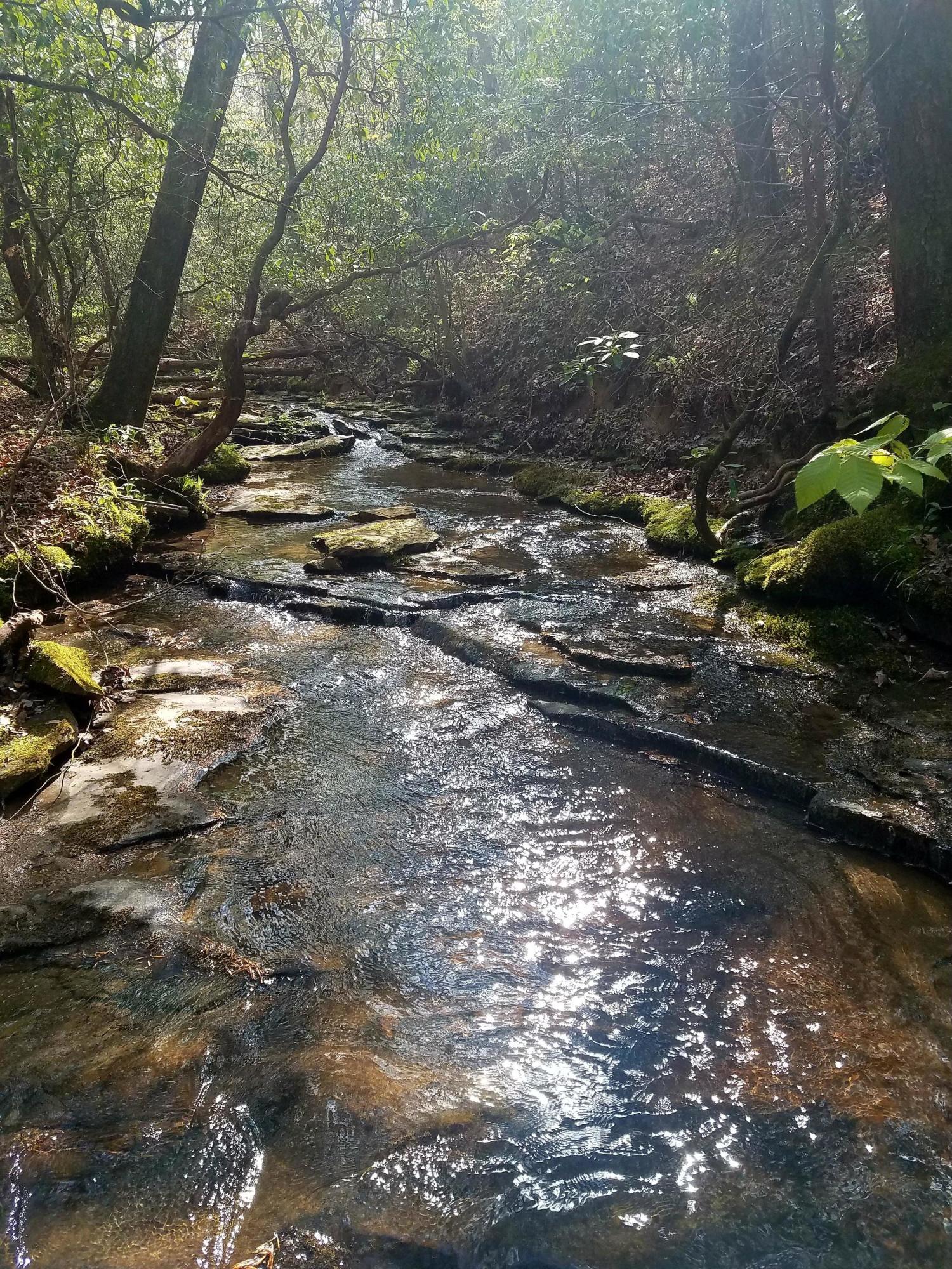 Maple Branch Lane Crawford, TN 38554 - Photo 3 of 4 20180503_160922