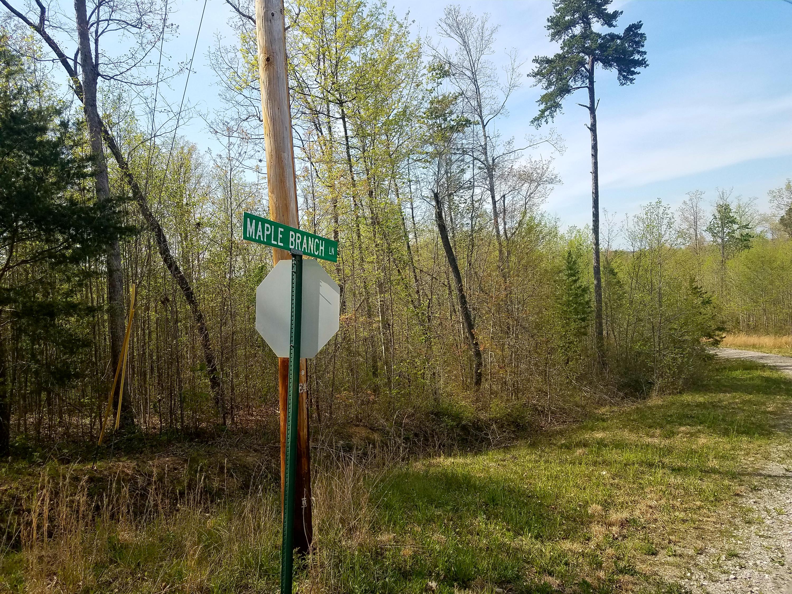 Maple Branch Lane Crawford, TN 38554 - Photo 4 of 4 20180503_155236