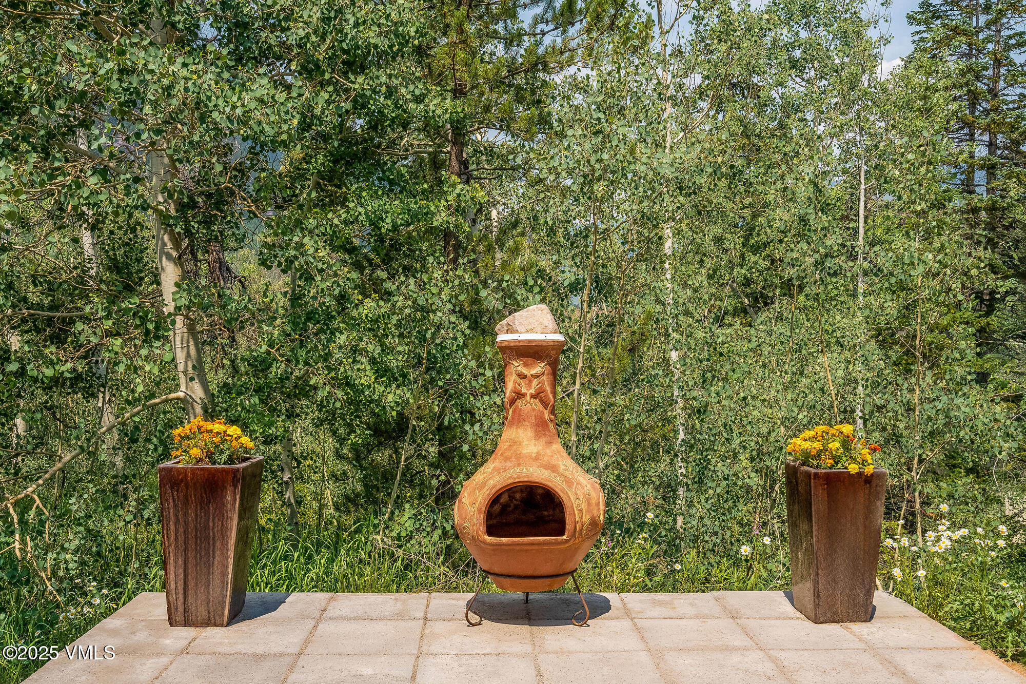 4545 Big Horn Road Vail, CO 81657 - Photo 36 of 49 a view of a entryway of the house and garden