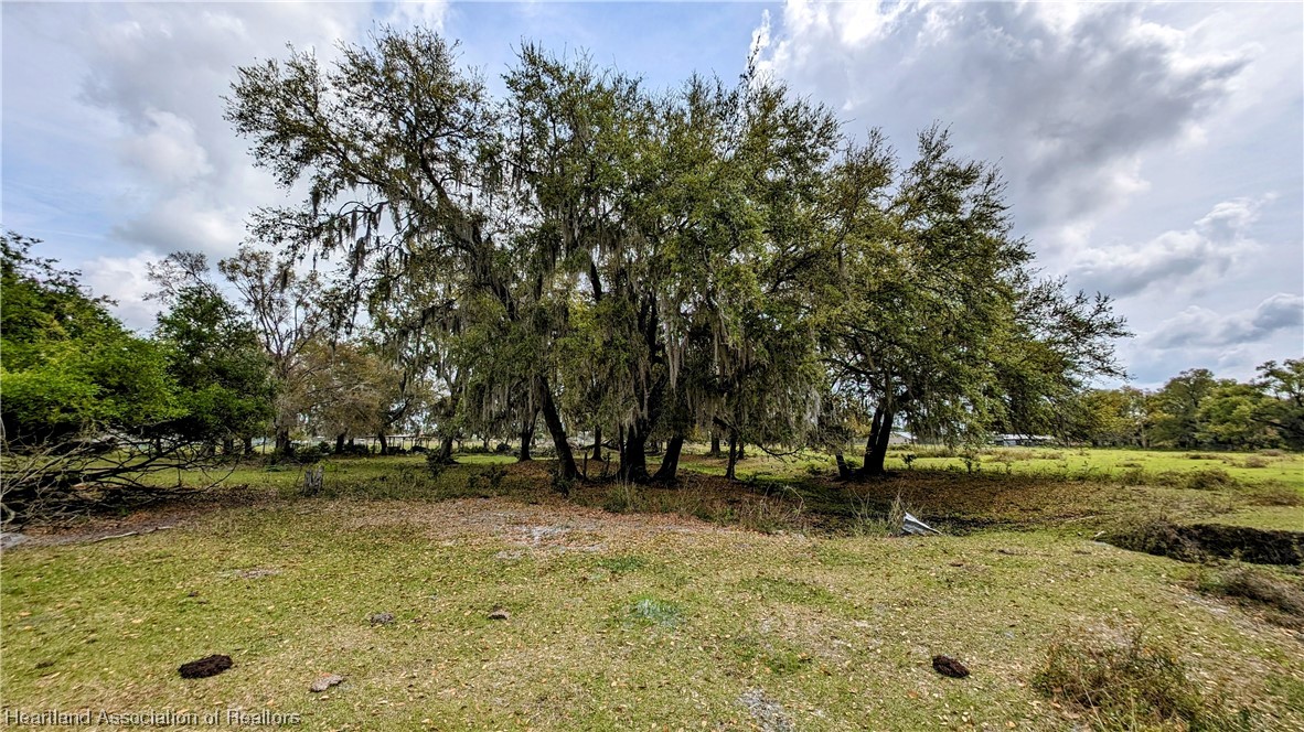 1695 Kazen Road Wauchula, FL 33873 - Photo 11 of 18 Gallery Image 11