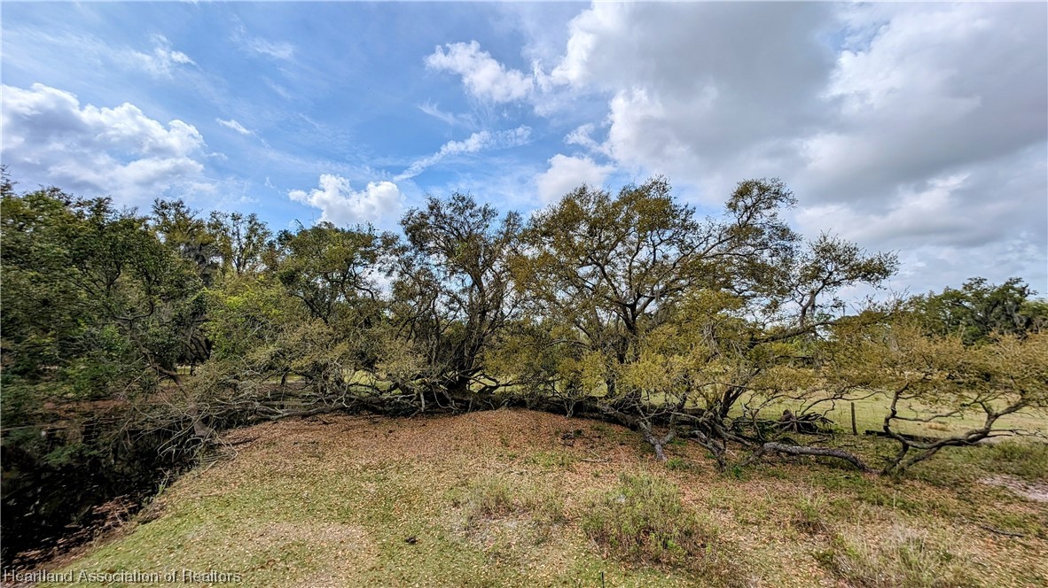 1695 Kazen Road Wauchula, FL 33873 - Photo 8 of 18 Gallery Image 8