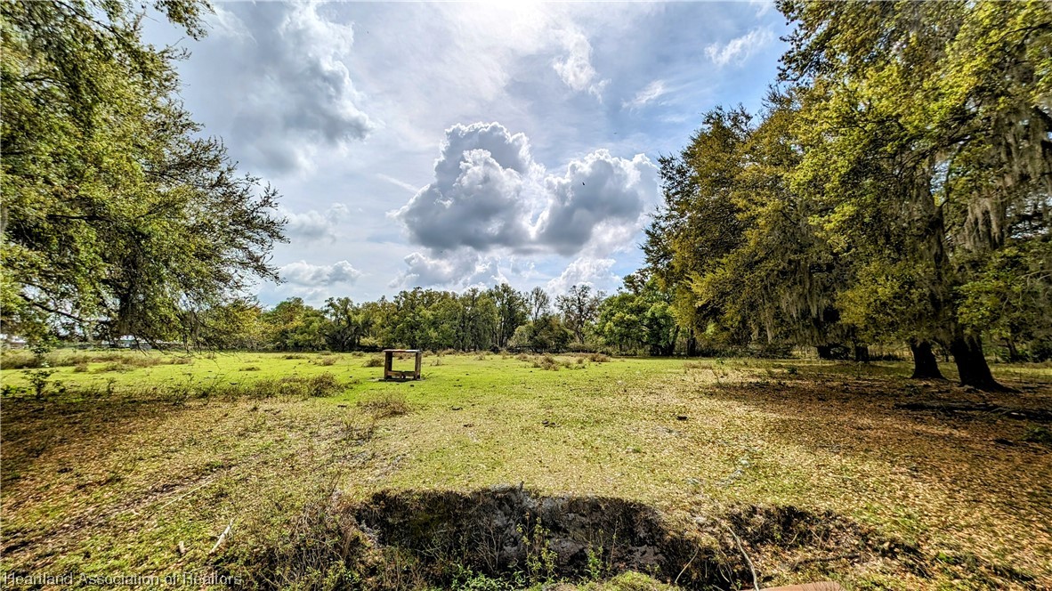 1695 Kazen Road Wauchula, FL 33873 - Photo 10 of 18 Gallery Image 10