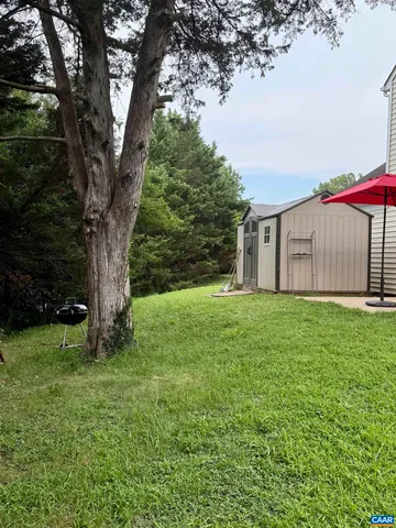a view of a backyard with large trees